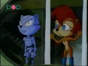 Sonic & Sally