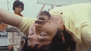 9 Pokers!! Trap Of Beauty