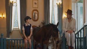 Episode 29