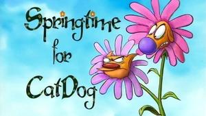 Springtime For CatDog