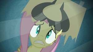 Putting Your Hoof Down