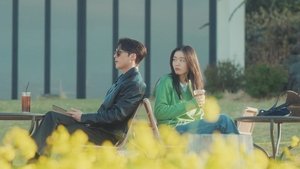 Nitric Acid, Sulfuric Acid, and Dynamite