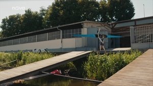 Episode 230