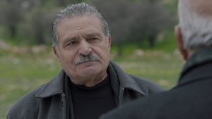 Episode 29