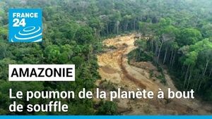 Amazonie, le poumon de la planète