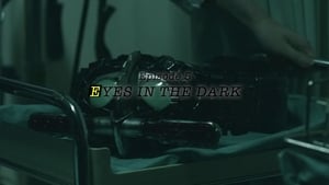 EYES IN THE DARK