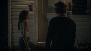 The Night