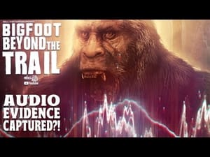 Bigfoot Audio Evidence Captured?! (Audio Analysis Video)