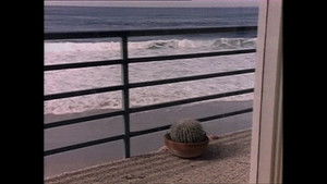 Once Burned, Twice Chey