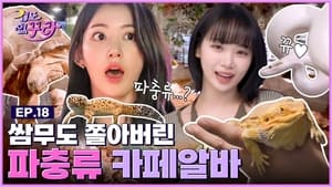 Sakura X Chaewon 🐢From tortoises to snakes🐍 Reptile cafe challenge