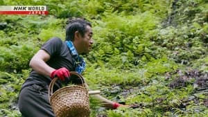 Kyoto Foraging Master - Nakahigashi Hisato