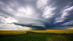 Wild Canadian Weather - Wind