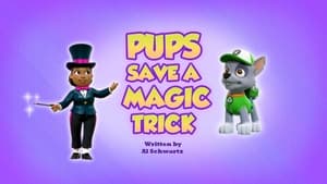 Pups Save a Magic Trick