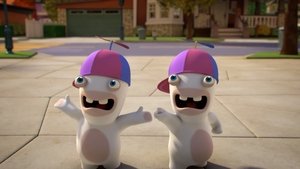 Mini-Rabbid