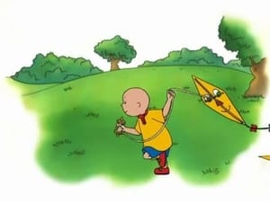 Caillou at the Beach