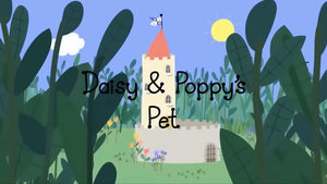 Daisy & Poppy's Pet