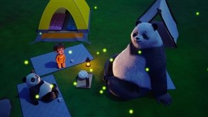 The Catio / Campout