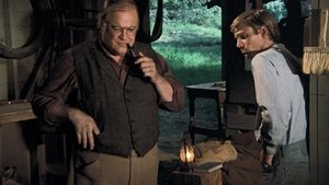 The Literary Man