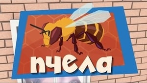 The Bee