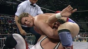 Nitro 019