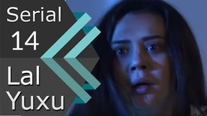 Episode 14
