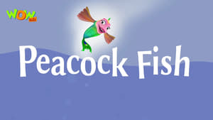 Peacock Fish