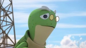 Courage of Turtles
