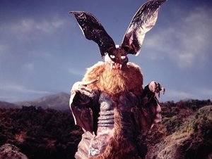 The Chirase Kicks The Night