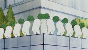 Episode 254