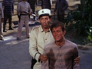 The Night of the Bottomless Pit