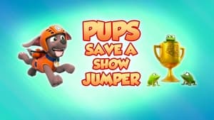 Pups Save a Show Jumper