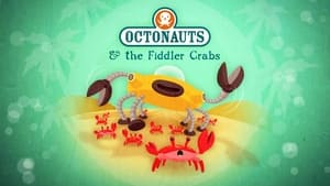 The Fiddler Crabs