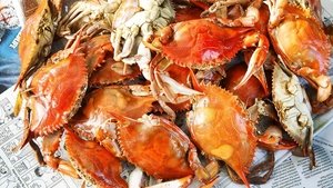 End-of-Summer Celebration