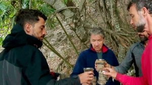 Resumen Diario #20