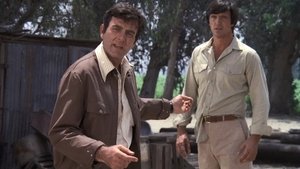 Wine From These Grapes