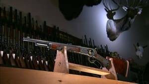 Automatic Sliding Doors; Gin; Firearms Restoration