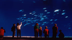 Oceans in Glass: Behind the Scenes of the Monterey Bay Aquarium