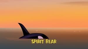 Spirit Bear