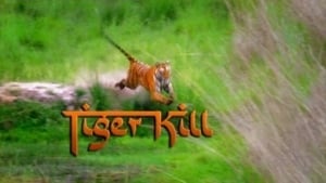 Tiger Kill