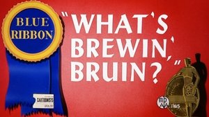 What's Brewin', Bruin?
