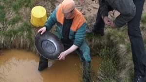 Goldrush in Lemmenjohki