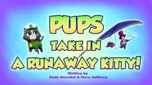 Pups Take in a Runaway Kitty!