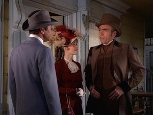 The Night of the Vipers