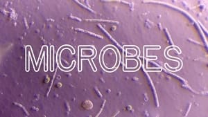 How Microbes Rule Your World