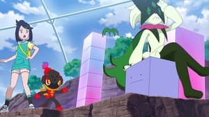 Liko and Tebrim - The Bond of Happiness!