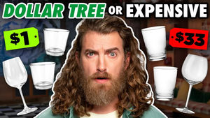 Dollar Tree Vs. Expensive Product Test