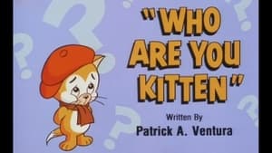 Who Are You Kitten?