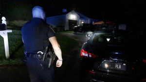 Hit-and-Run Suspect Search