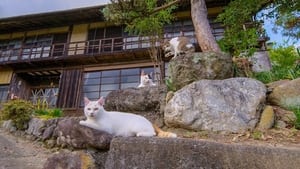 Chichibu: The Great Outdoors with Cats