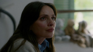 Suspect in the House